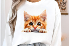 Breeds Of Peeking cats Clipart Product Image 3