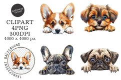 Breeds Of Peeking Dogs New Clipart Product Image 1