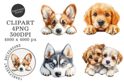 Breeds Of Peeking Dogs New Clipart Product Image 1