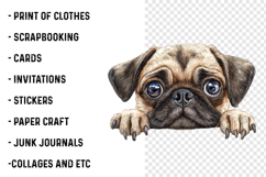 Breeds Of Peeking Dogs New Clipart Product Image 2
