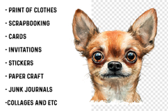 Breeds Of Peeking Dogs New Clipart Product Image 2