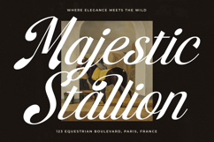 Brellight - New Elegant Script Font Product Image 4