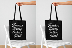 Brellight - New Elegant Script Font Product Image 10