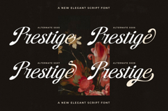 Brellight - New Elegant Script Font Product Image 12