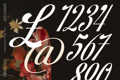 Brellight - New Elegant Script Font Product Image 14