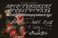 Brellight - New Elegant Script Font Product Image 18