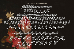 Brellight - New Elegant Script Font Product Image 19