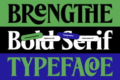 Brengthe - Modern Editorial Serif Product Image 1