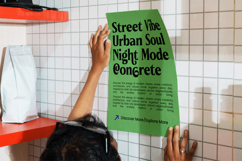 Brengthe - Modern Editorial Serif Product Image 4