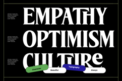 Brengthe - Modern Editorial Serif Product Image 7
