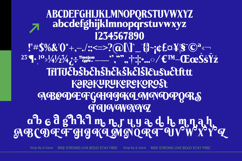 Brengthe - Modern Editorial Serif Product Image 10