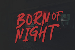 Brhia - Textured Brush Font Product Image 2
