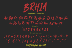 Brhia - Textured Brush Font Product Image 8