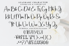 Bridger Product Image 5