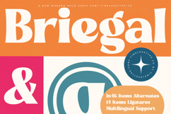 Briegal - New Modern Bold Serif Product Image 1