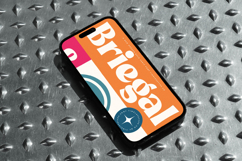 Briegal - New Modern Bold Serif Product Image 9