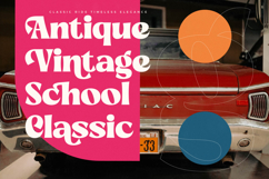 Briegal - New Modern Bold Serif Product Image 10