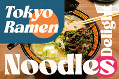 Briegal - New Modern Bold Serif Product Image 13