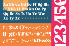 Briegal - New Modern Bold Serif Product Image 19