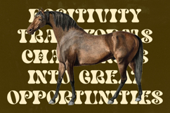 Bright Films - Modern Retro Serif Font Product Image 11