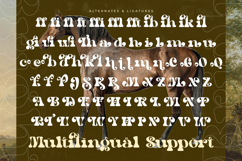 Bright Films - Modern Retro Serif Font Product Image 18