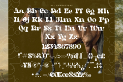 Bright Films - Modern Retro Serif Font Product Image 19