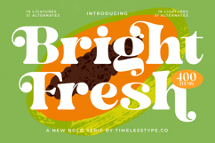 Bright Fresh - New Bold Serif Font Product Image 1