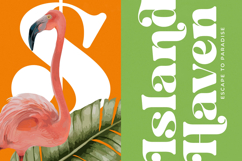 Bright Fresh - New Bold Serif Font Product Image 3