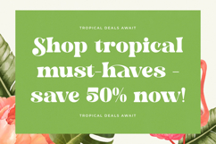 Bright Fresh - New Bold Serif Font Product Image 6