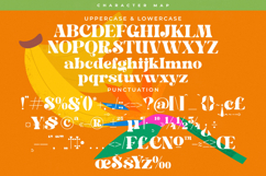 Bright Fresh - New Bold Serif Font Product Image 18