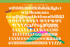 Bright Fresh - New Bold Serif Font Product Image 19
