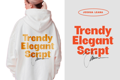 Bright Giftak - Sans Serif Display Font Product Image 10