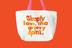 Bright Giftak - Sans Serif Display Font Product Image 13