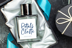 Bright Nastury - Texture Brush Font Product Image 9