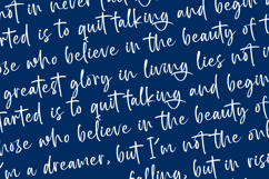 Bright Nastury - Texture Brush Font Product Image 17