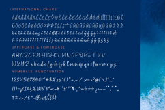 Bright Nastury - Texture Brush Font Product Image 18