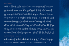 Bright Nastury - Texture Brush Font Product Image 19