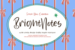 Bright Notes - Casual Handwritten Brush Font Product Image 1
