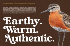 Bright Rustic - Bold Serif Display Font Product Image 14