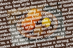 Bright Rustic - Bold Serif Display Font Product Image 17