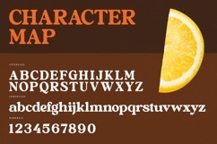 Bright Rustic - Bold Serif Display Font Product Image 18