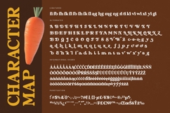 Bright Rustic - Bold Serif Display Font Product Image 19