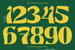 Bright Screen - Modern Display Font Product Image 8