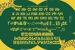 Bright Screen - Modern Display Font Product Image 15