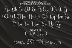 Bright Standar Product Image 7