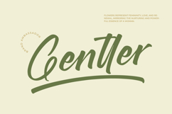 Brighten Shootters Modern Script Font Product Image 4
