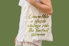 Brighten Shootters Modern Script Font Product Image 7