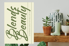 Brighten Shootters Modern Script Font Product Image 12