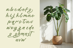 Brighten Shootters Modern Script Font Product Image 14