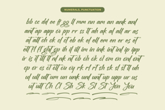 Brighten Shootters Modern Script Font Product Image 18
